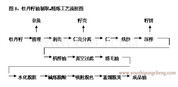 牡丹籽油榨油精煉生產(chǎn)線(圖4)